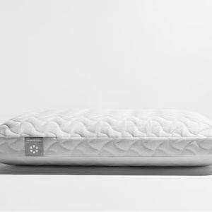 New! In box Temper-Pedic Temper-Cloud Pillow